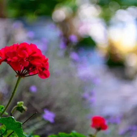 Amicasa Private Seaside Casa vacanze *