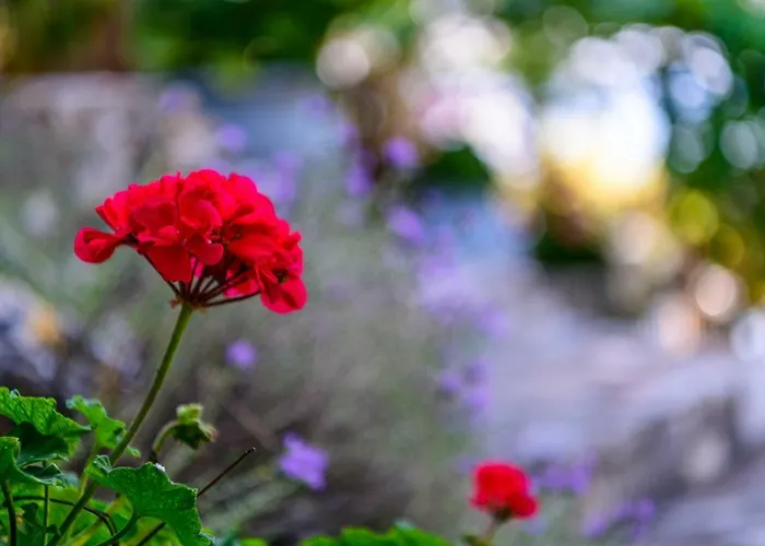 Amicasa Private Seaside Casa vacanze *